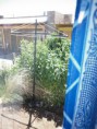 /album/azul/p1010290-jpg/